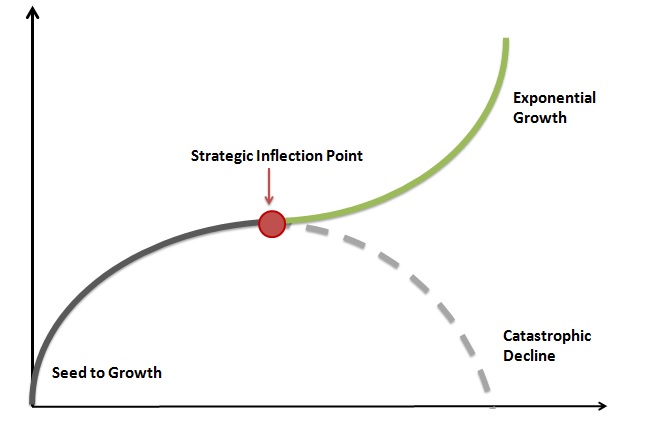 The strategic inflection point- exponential growth or catastrophic decline?