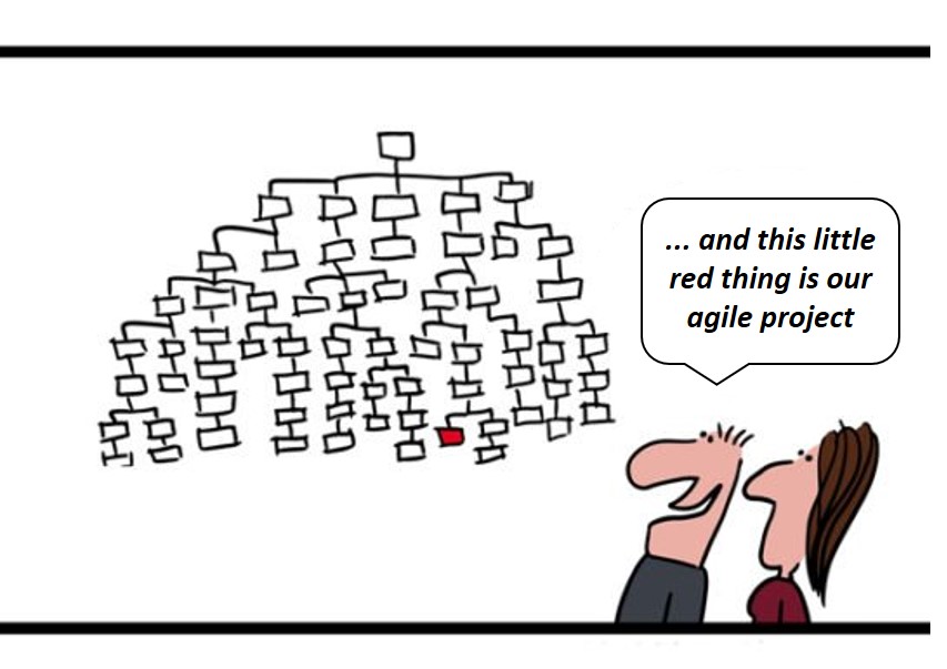 Agile organizations need more than a small agile project